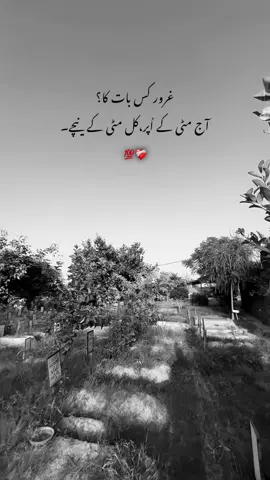 #CapCut غرور کس بات کا؟ آج ہم کسی پے فاتحہ پڑھ رہے ہیں،کل کوئی ہم پر فاتحہ پڑھے گا۔💯❤️‍🩹