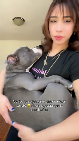 Sus perros son así? 😂😭 ella se cree brava en la calle pero me la casa 😂 #americanbully #laynisalmonte #dominicanasoy🇩🇴 #perros #miperro 