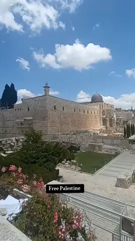 #Free #palestine🇵🇸 #videos#viral #foryoupage❤️❤️ 
