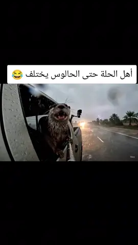 عمي كولو يا الله هههههه 😂 #العراق #ذكاء_اصطناعي 