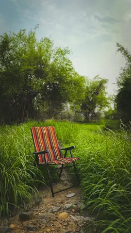 بعيد عن ضجيج البشر 