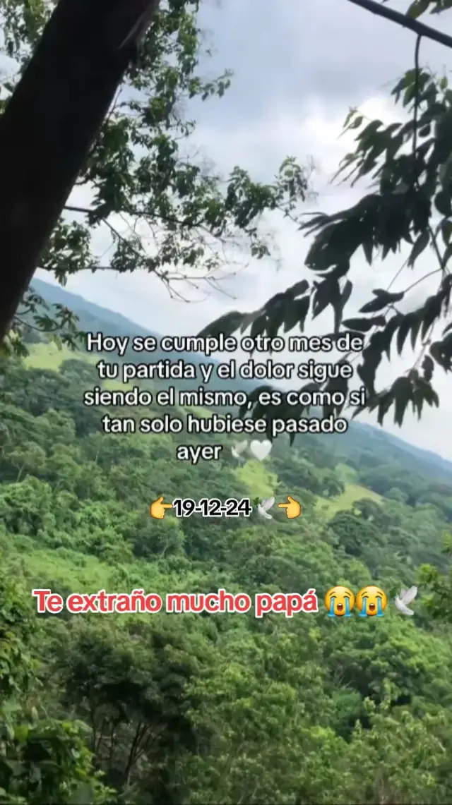 #papaenelcielo💔💔💔😭 #teextrañopapá💔🕊 #teextrañopapá💔🕊 #😭😭💔🕊️🖤xq #😭😭😭😭😭😭💔💔💔💔 