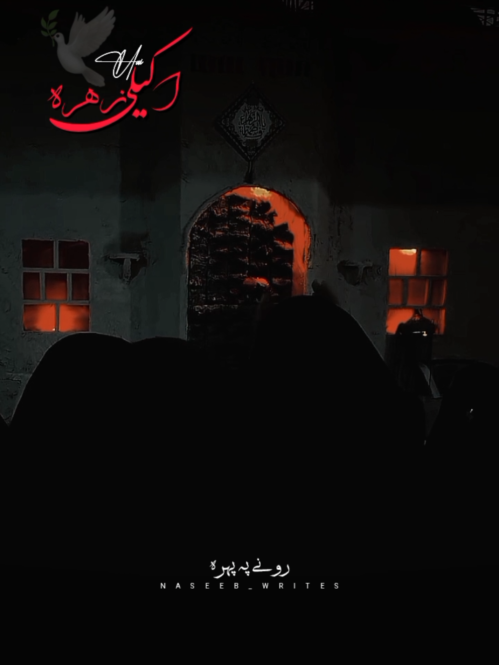 Akeli Hai Zahra s.a #plzunfrezemyaccount 