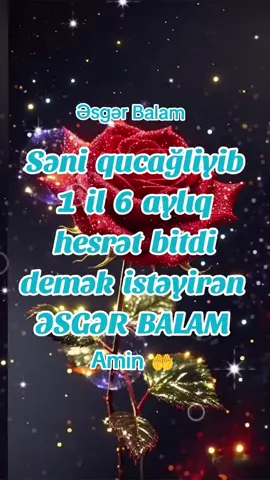 Allah Sən Əsgər Balalarımızı Qoru Sağ Salamat Qayidib Gəlsinlər Mənim Əsgər Balamda Onların İçində Amin 🤲 Canim Oğlum Az qalib bu həsrət bitəcək İnşallah 🤲