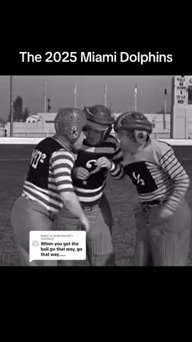 #nfl #nflsunday #threestooges #miamidolphins #tuatagovailoa 