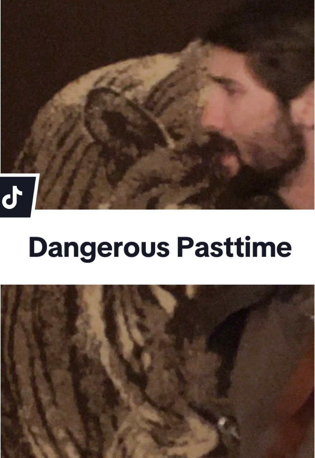 Thinking is a dangerous pasttime… #rangersapprentice#willtreaty#nothoughts#thinking