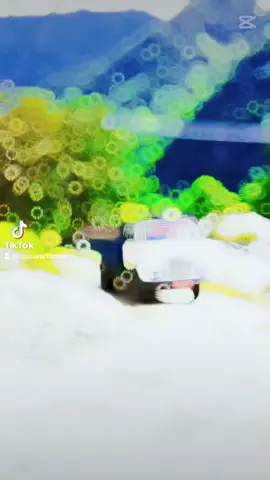 #foryou #foryoupage #viralvideo #😘😘😍😍😇❤️❣️❣️❣️❣️❣️❣️❣️ 