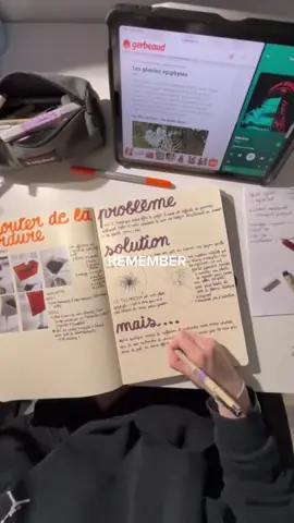 #dnmade #dnmadeespace #designespace #architecture #architecturestudent #interiordesign #architectureinterieur #design #etudiant #etudesuperieures #fyp 