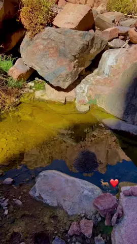 @الـحــربــي🧑🏻‍🦯. 🦌🔥