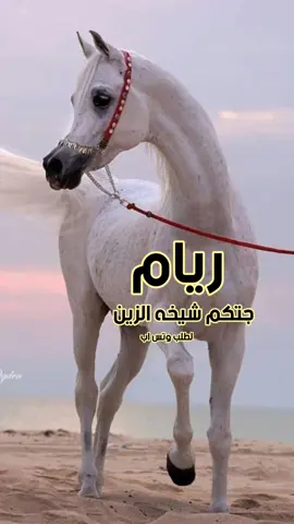 #شيلة جتكم شيخه الزين ريام لطلب الشيلات بالاسماء الرقم ع البايو 