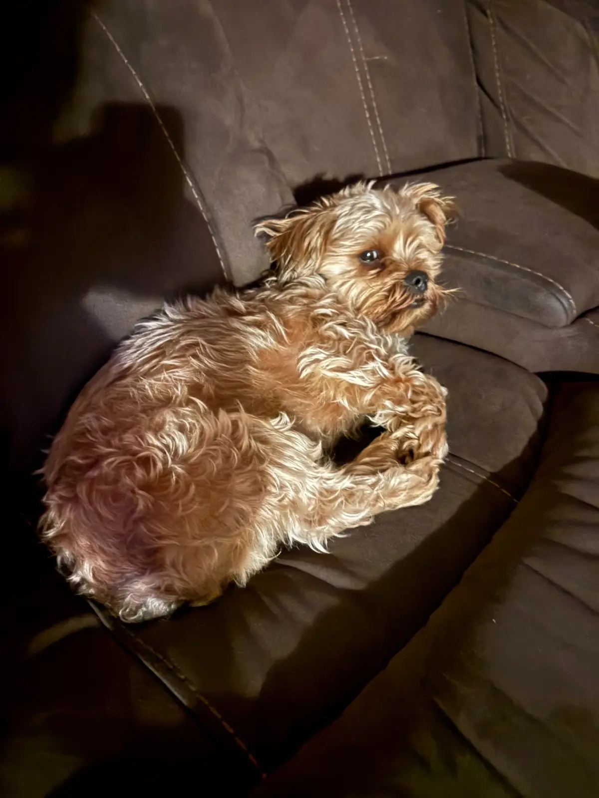 isn’t my life fun?? #fyp #18 #xyzbca #bsf #summerisover😢 