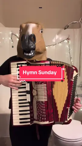 Just over in the glory land #accordion #themaskedmusicalpony #music 