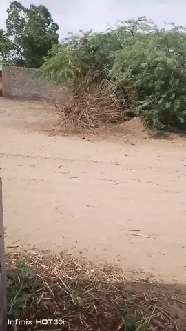 #fyp #اليمن #السعيد #معركة_بين_الاساطير #t الجزء 2tiktok 