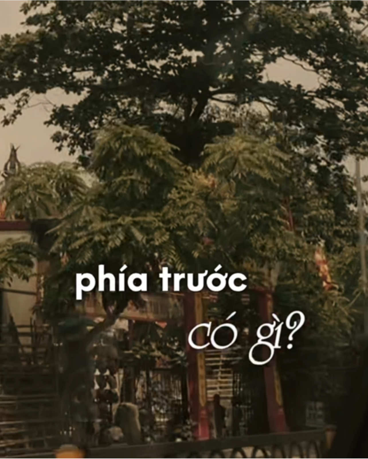 “…mình đang cố gắng vì điều gì?” #podcast #sparklinh #nvnm 