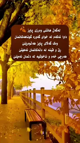 #سليمانيه_كردستان_العراق_هولير_كةركوك🇮🇶 #اسلام #اسلاميات #سعد_الغامدي 