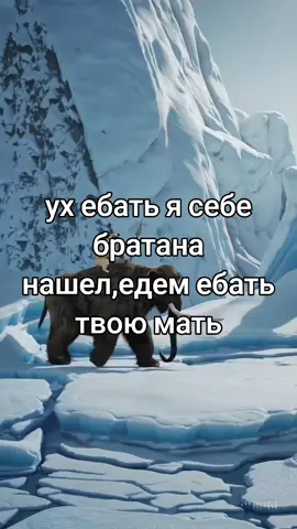 #иякрутой #pug #мопс #fypシ #крутоймопс 