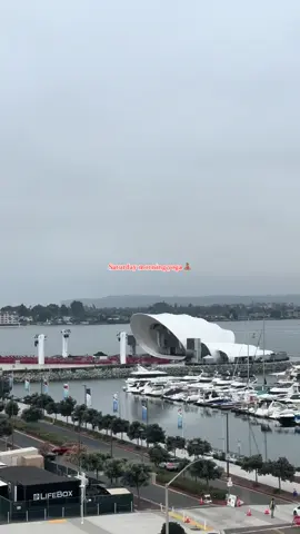 Monthly yoga at The Shell with @Fit Athletic 🧘🏽‍♀️🐚 plus post-workout sips sponsored by @Muscle Milk + @Gatorade 💪🏽 #yoga #sandiegohiddengems #freeevent #outdoorworkout #fitathletic 