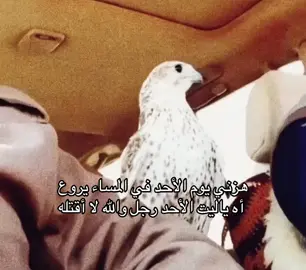 #you #قصايد #صقر #W 