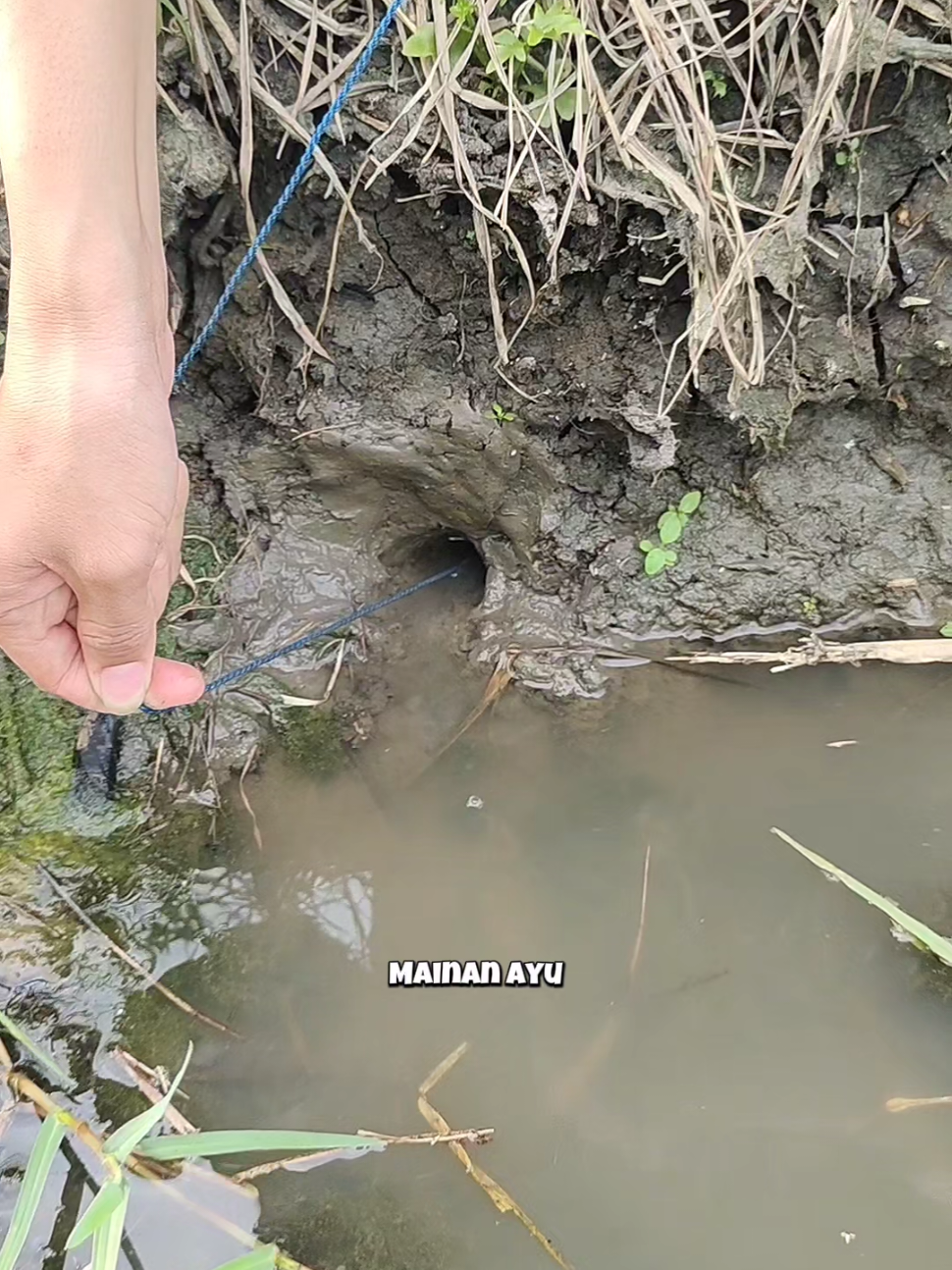 Lubang Belut Super Cantik, Moga Ada Penghuninya Bestie 🤔😄, #mainanayu