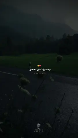 ينحيها من لحمو ! ❤️🥺                     #lyrics #تصميم_فيديوهات🎬 #fyp #capcut_edit #قوالب_كاب_كات 