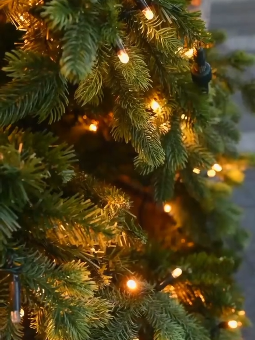 Dear friends...Christmas is coming🥺🎅🙏 #snow #cozy #fyp #xmas #fyyyyyyyyyyyyyyyy 