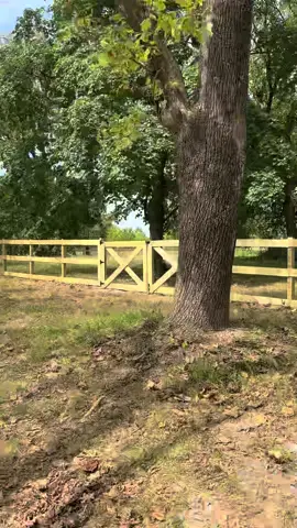 Gotter done #Pierpoint