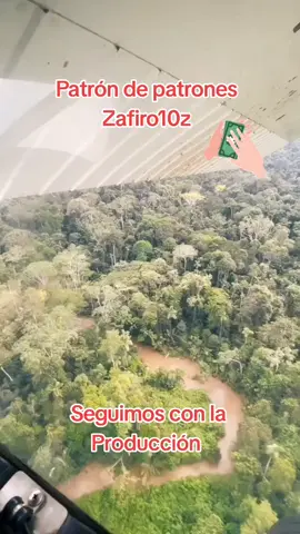 Seguimos con la Producción Selva central  Patrón de patrones #Zafiro10z #zafiro10💙🚍 