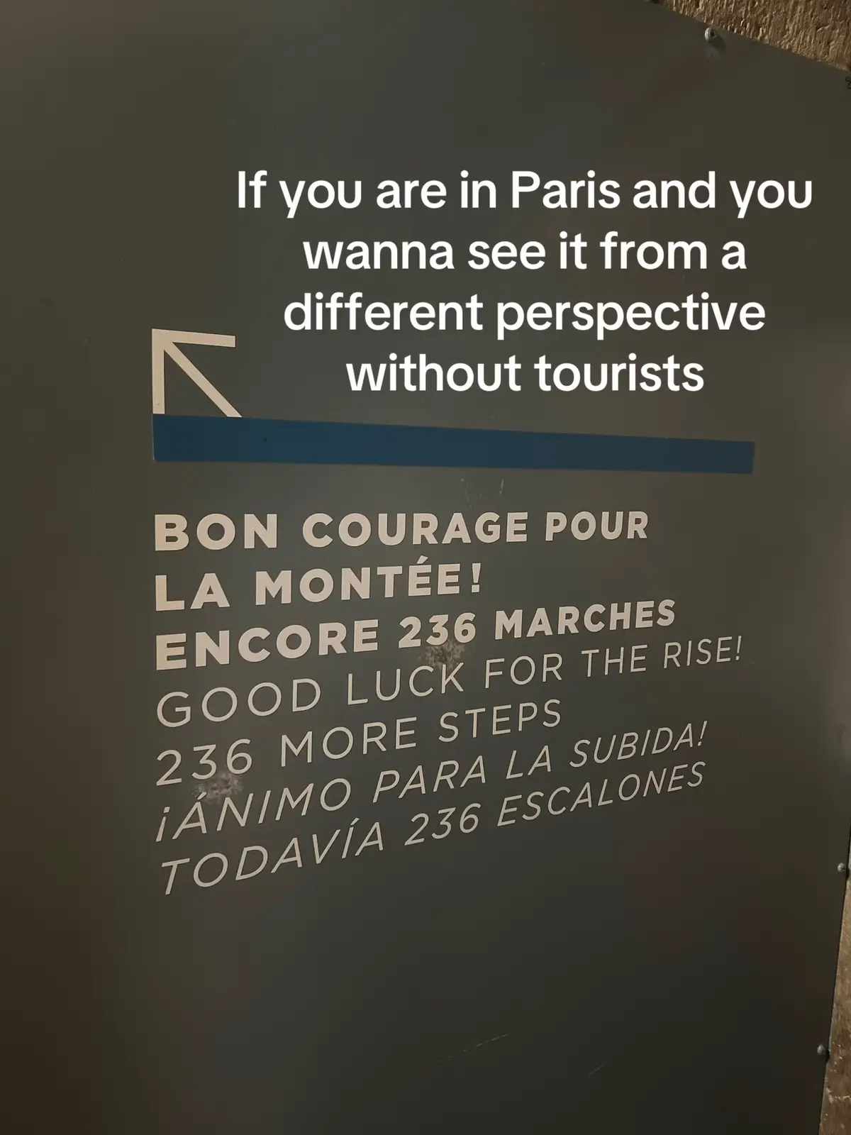 You literally just go to the Sacré Coeur, but go downstairs on your left instead of upstairs to the church 💗 #paris #tour #recommendations #viewsinparis #parisforfree 