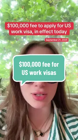 US work visas just got a whole lot more expensive, nearly $100,000 more. #breakingnews #rileyluenews #tiktoknews 