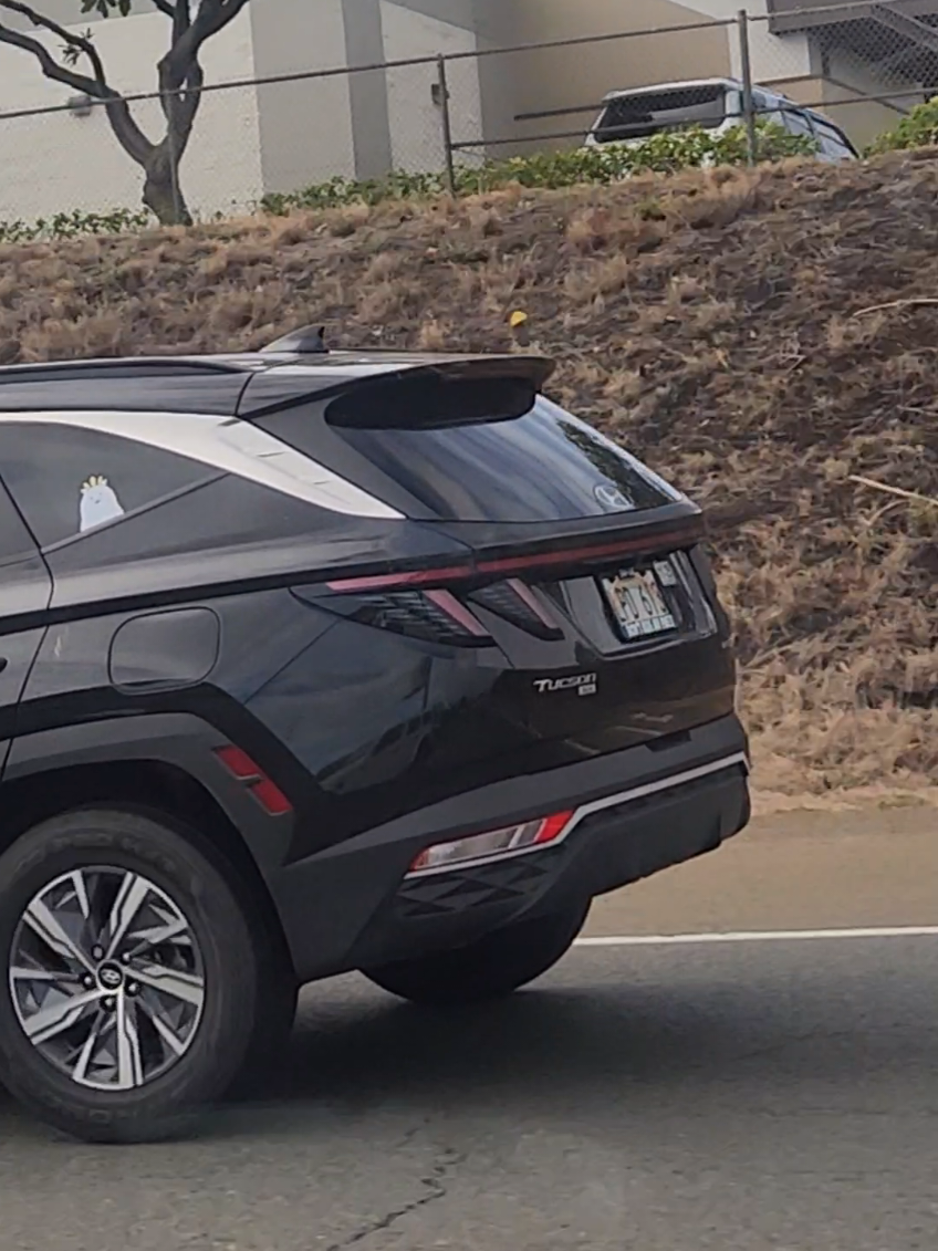 who is this!!! 🙌🩷🇵🇭 Spotted in #ewabeach !! #hellakulit #hellakulitspotted #filipinobrand 