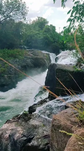 cachoeira de Itaguaçu Goiás❤️🪴🌳☀️ #cachoeira #domingo #finaldesemana 