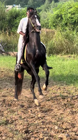 Heart  beat 🎠🖤.  @Maan💫 