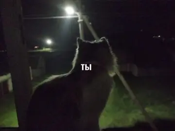 с днем рождения меня!! #сднемрождения #рек #рекомендации❤️❤️ #fyp #чайвдвоем #чайвдвоемденьрождения 