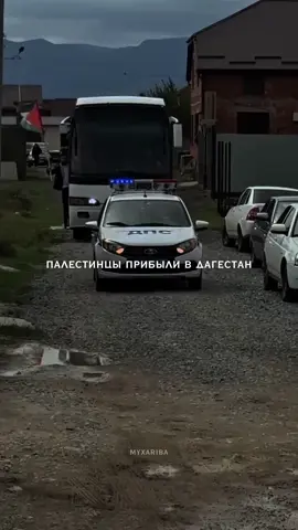 #палестина#ислам #глобальныерекоменадции #врек 