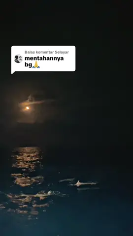 Membalas @Selayar 