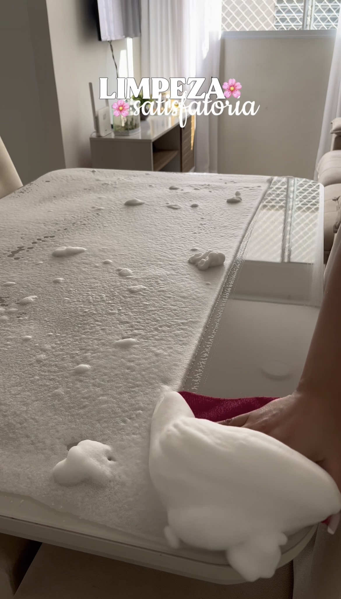 Limpeza satisfatória de casa 