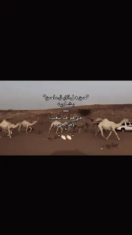 #هشتاق #مالي_خلق_احط_هاشتاقات 