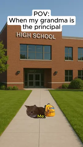 Grandma is the best❤️ #catmemes #relatable #catmeme #school #grandma 