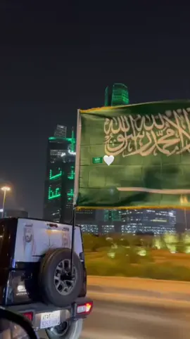 #الرياض_الان🇸🇦 #لايك_متابعه_اكسبلور#الماليه_الرياض #اليوم_الوطني_السعودي_95 