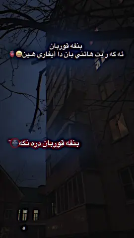 #viral #fyp #like #💔 بنفه قوربان
