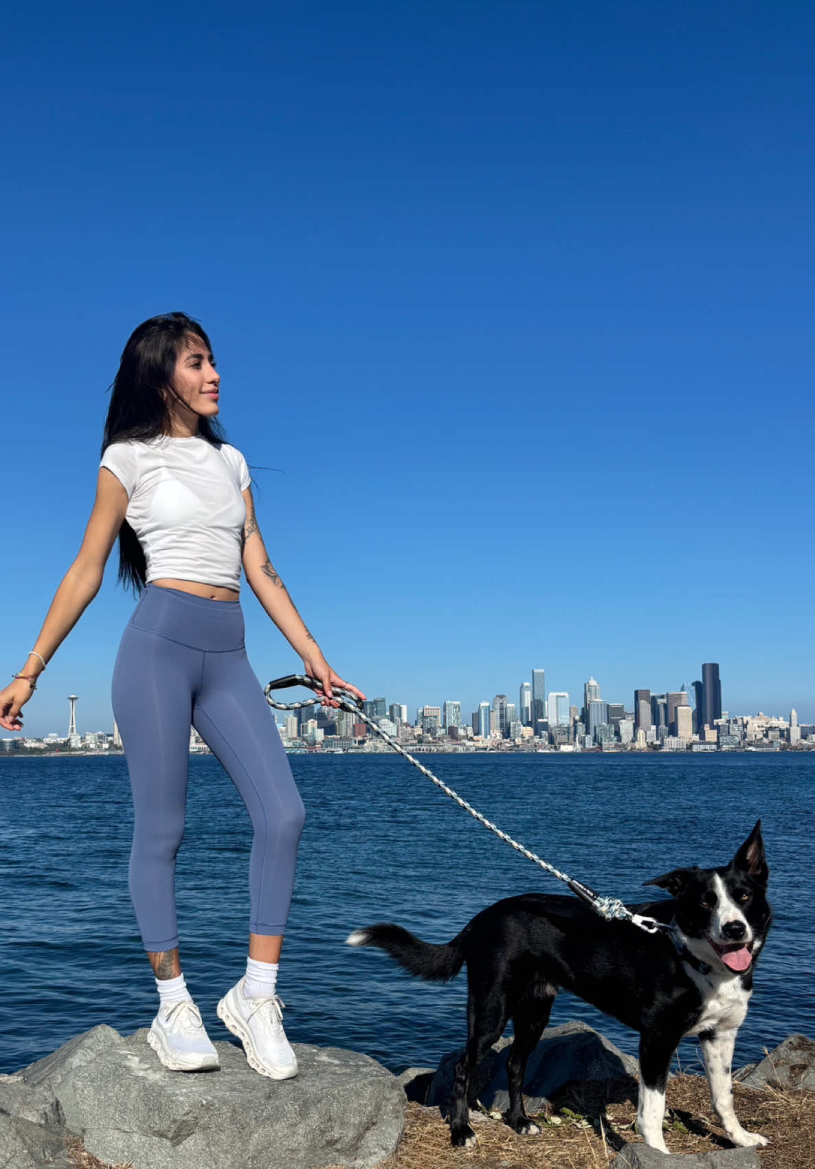 One of our favorite runs #seattle #alkiruns #bubba #westseattle #fyp 