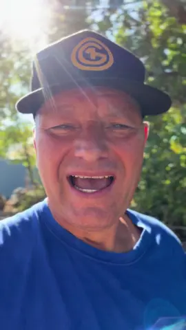 remegőbajszú pukkancs gonosz kutya, kövér lacibácsika