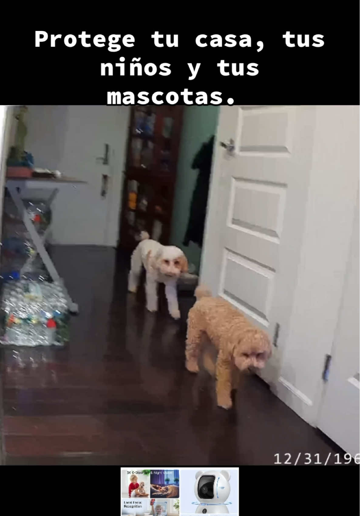 Una cámara donde puedes hablarle a us mascotas de donde estés👏🏾💙 #tiktokshop #tiendadetiktok #juanpujols 