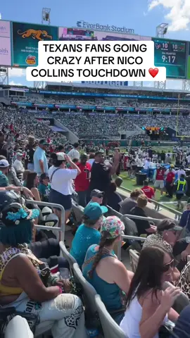 Omg Nico COLLINS❤️ #fyp #viral #nfl #texans #colindrum 