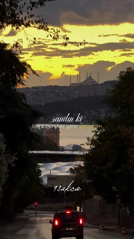 sen ne sandın ? #sezenaksu #CapCut #98akca 