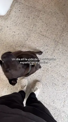 Nos tuvimos que ir 1 día antes porque no paraba de llover :l