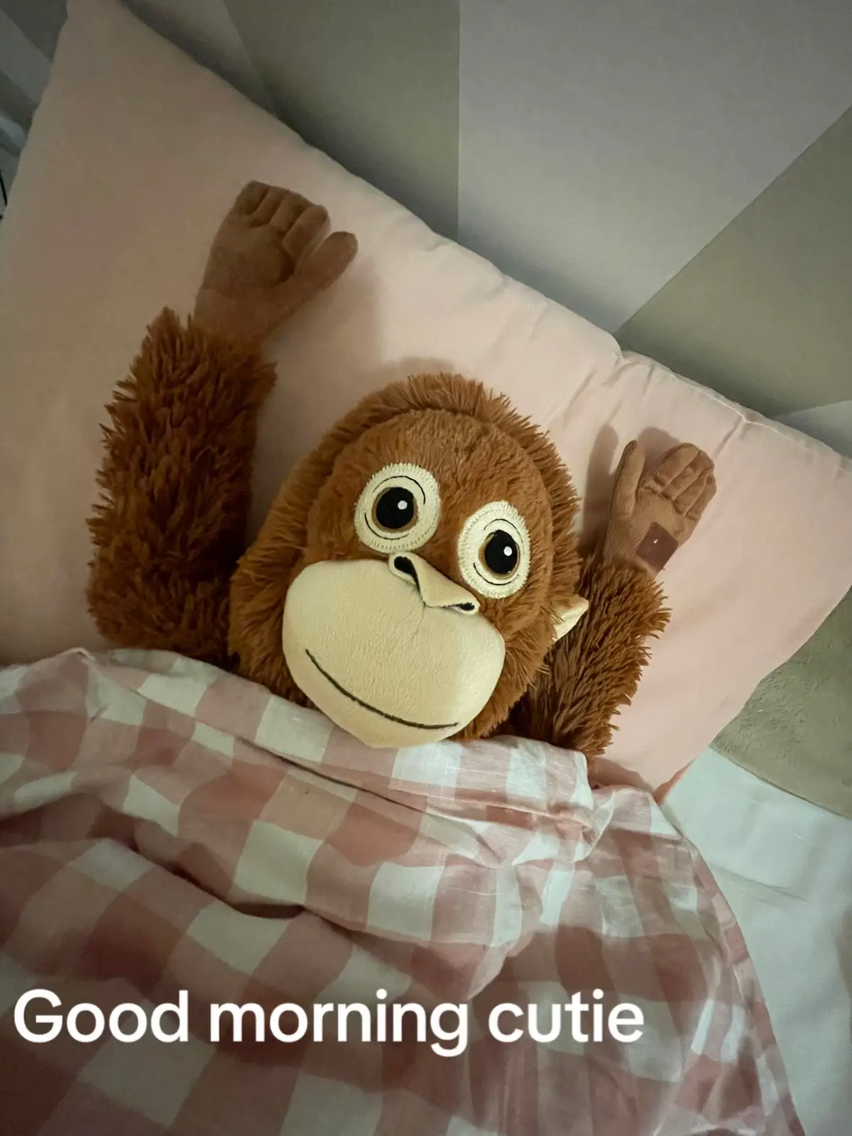 #sendthistoyourbestfriend #ikeamonkey #viral #fyp #sendthistoyourcrush 