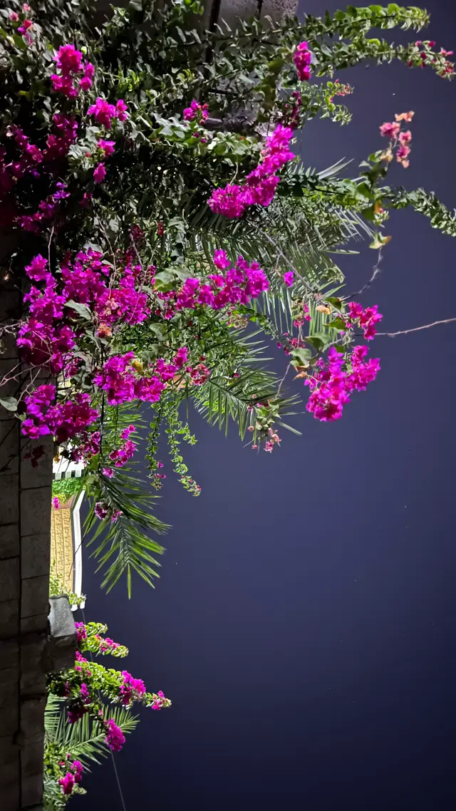 #اكسبلور #explore 