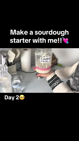 Day two of my sourdough journey!! #sourdoughstarter #sourdoughjourney #breadtok #estelle #fyp @gigi 