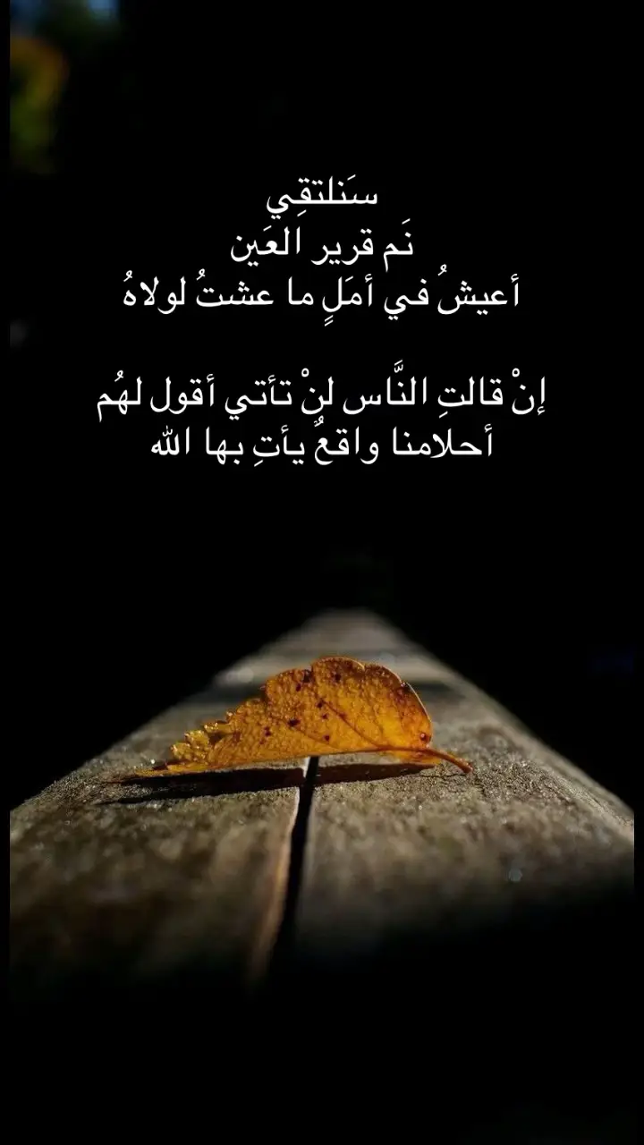 #فواسفاه_لقياه_سراب  #عجل_لوليك_الفرج 